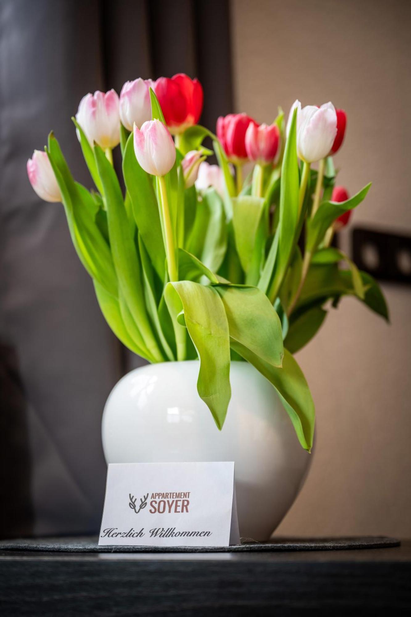 Appartement Soyer Höfen Dış mekan fotoğraf